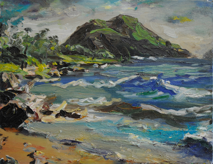 hawaii 1990 b
